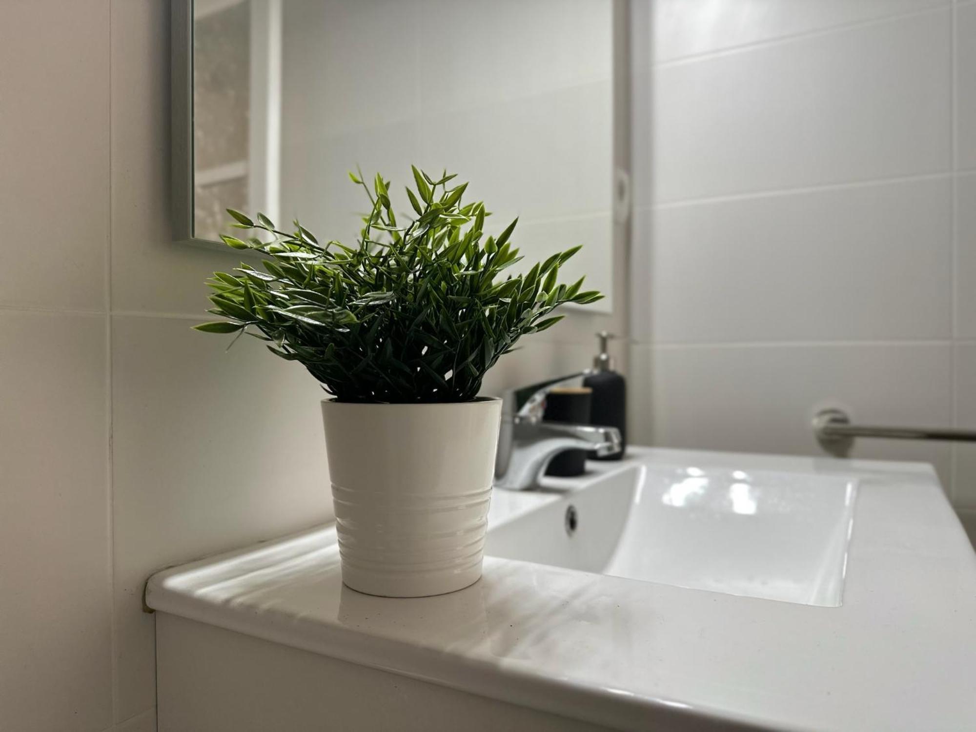 Apartamentos Vernia Ontinyent Dış mekan fotoğraf